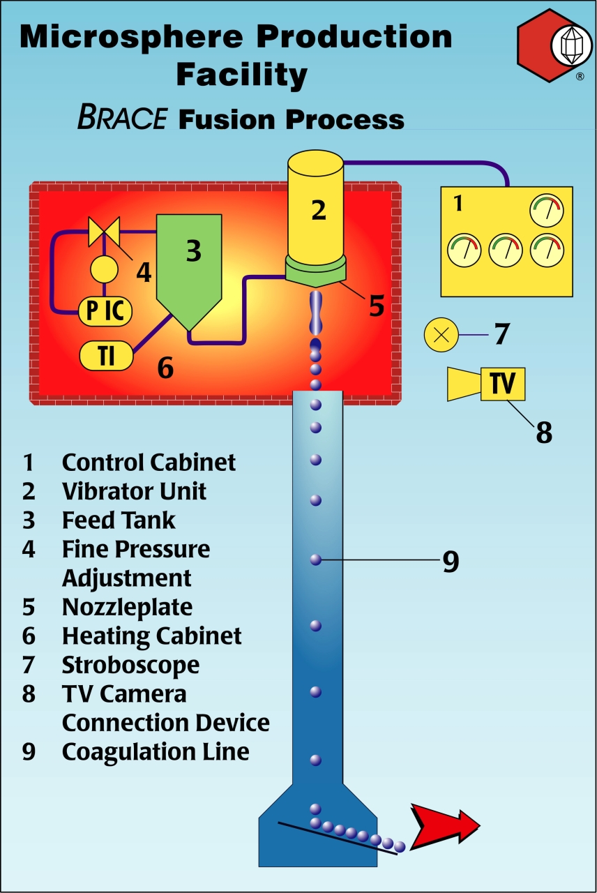 Schematic of the BRACE Fusion Process